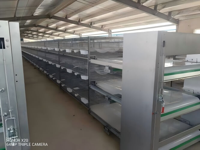 Puntos destacados del equipo avícola Jaulas apiladas tipo H: ahorra espacio, durabilidad y adaptabilidad a diferentes diseños de galpones