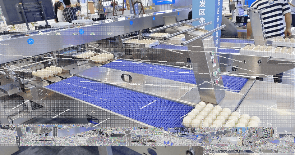 Ofrecemos y suministramos clasificadoras automáticas de huevos y máquinas de selección de huevos a granjas avícolas de todo el