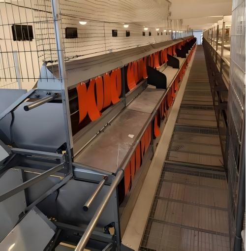 La fábrica suministra directamente a granjas de todo el mundo jaulas de bienestar y equipos europeos para gallinas ponedoras, cubriendo los mercados de exportación de la Unión Europea, Asia, América y otras regiones, lo que hace que la compra de equipos y la actualización a gallineros sin jaulas sean más eficientes y conformes a la normativa.﻿